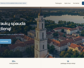 Paslaugos verslui - Puslapių kūrimas - 2